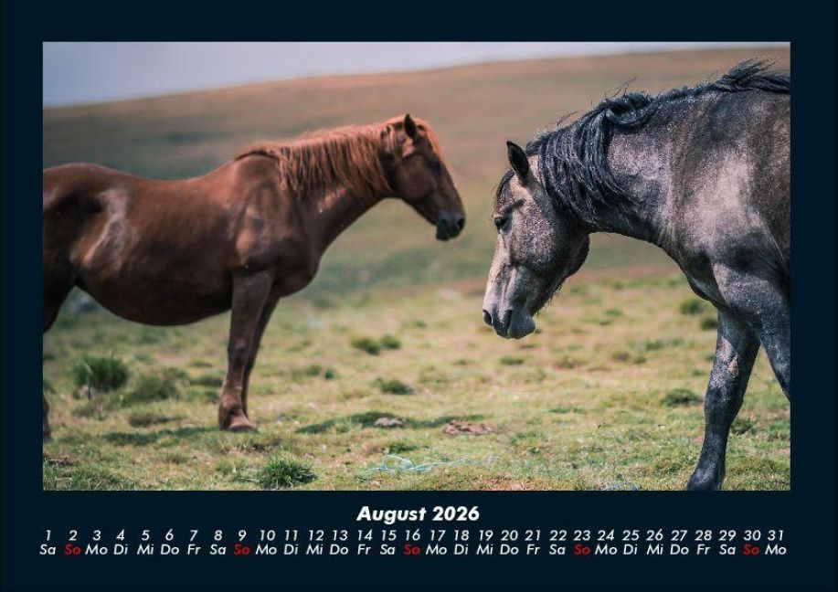 InsideView 12