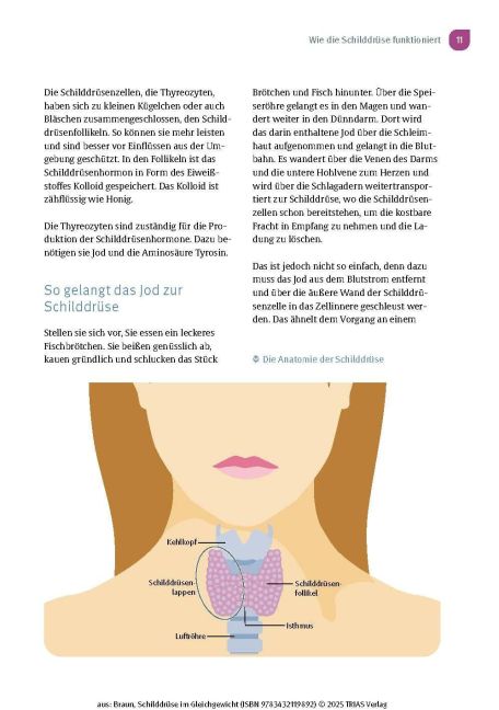 InsideView 5