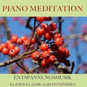 Cover-Bild zum Titel 'Piano Meditation ¿ Entspannungsmusik' von 'Filip Lundqvist'