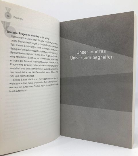 InsideView 5