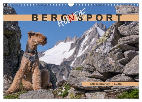 Berg-Hunde-Sport (Wandkalender 2024 DIN A3 quer), CALVENDO Monatskalender - Antje Becker