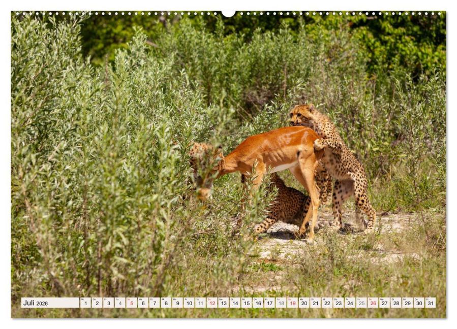 InsideView 11