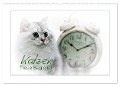 Katzen ¿ Treue Begleiter (CH - Version) (Wandkalender 2024 DIN A2 quer), CALVENDO Monatskalender - Melanie Viola