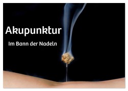 Cover-Bild zum Titel 'Akupunktur - Im Bann der Nadeln (Tischkalender 2026 DIN A5 quer), CALVENDO Monatskalender' von 'Susan Michel'