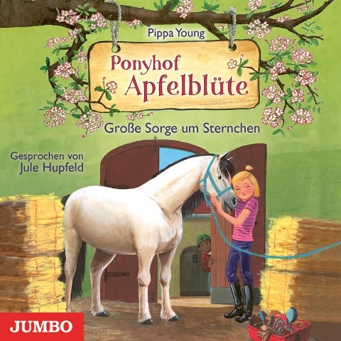 Ponyhof Apfelblüte. Große Sorge um Sternchen [Band 18] - Pippa Young