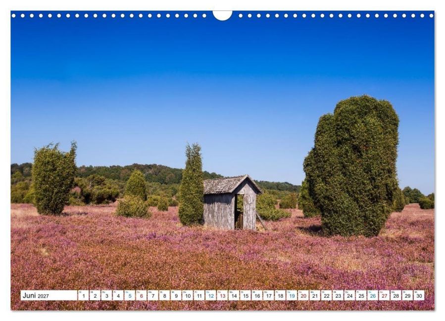 InsideView 11