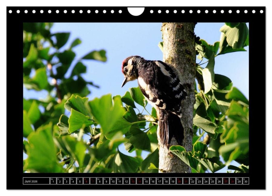 InsideView 11