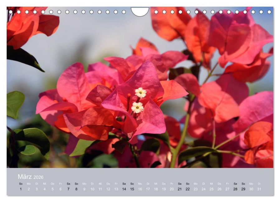 InsideView 8
