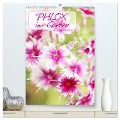 Phlox im Garten (hochwertiger Premium Wandkalender 2025 DIN A2 hoch), Kunstdruck in Hochglanz - Gisela Kruse