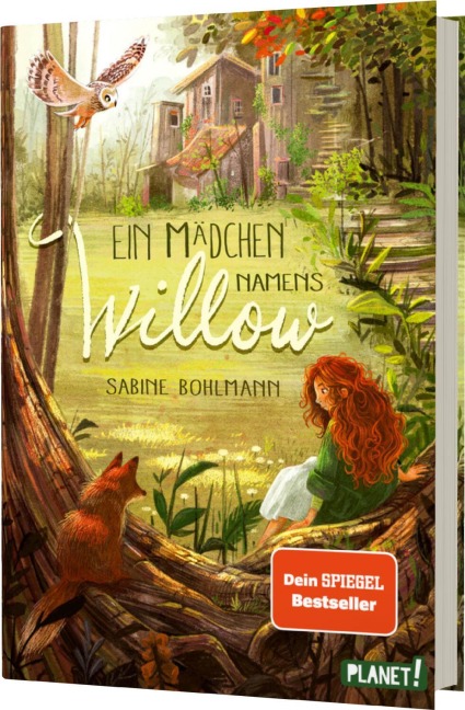 Ein Mädchen namens Willow 1: Ein Mädchen namens Willow - Sabine Bohlmann