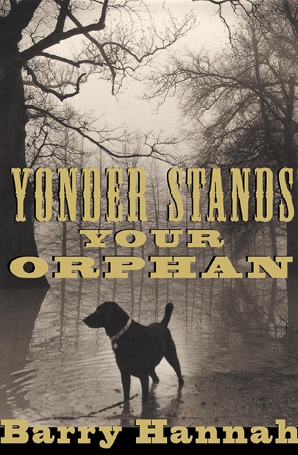 Yonder Stands Your Orphan - Barry Hannah
