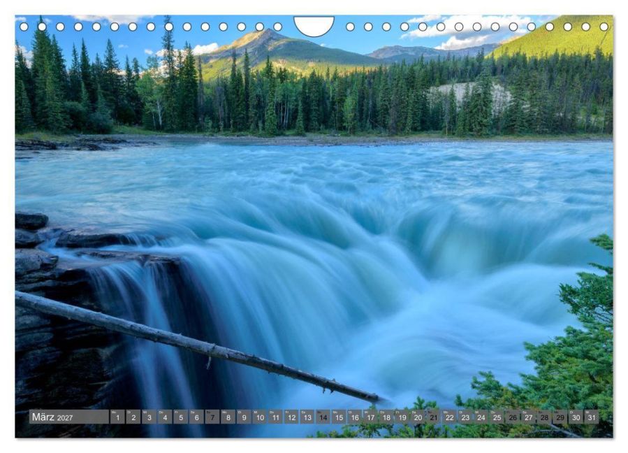 InsideView 8