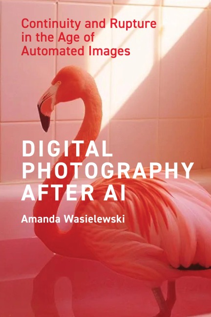Digital Photography After AI - Amanda Wasielewski