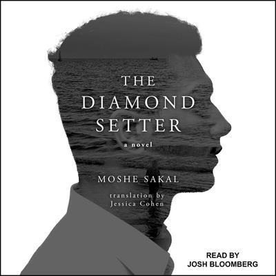 The Diamond Setter Lib/E - Jessica Cohen