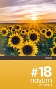 Cover-Bild zum Titel 'novum #18' von 'Wolfgang Bader (Ed.'