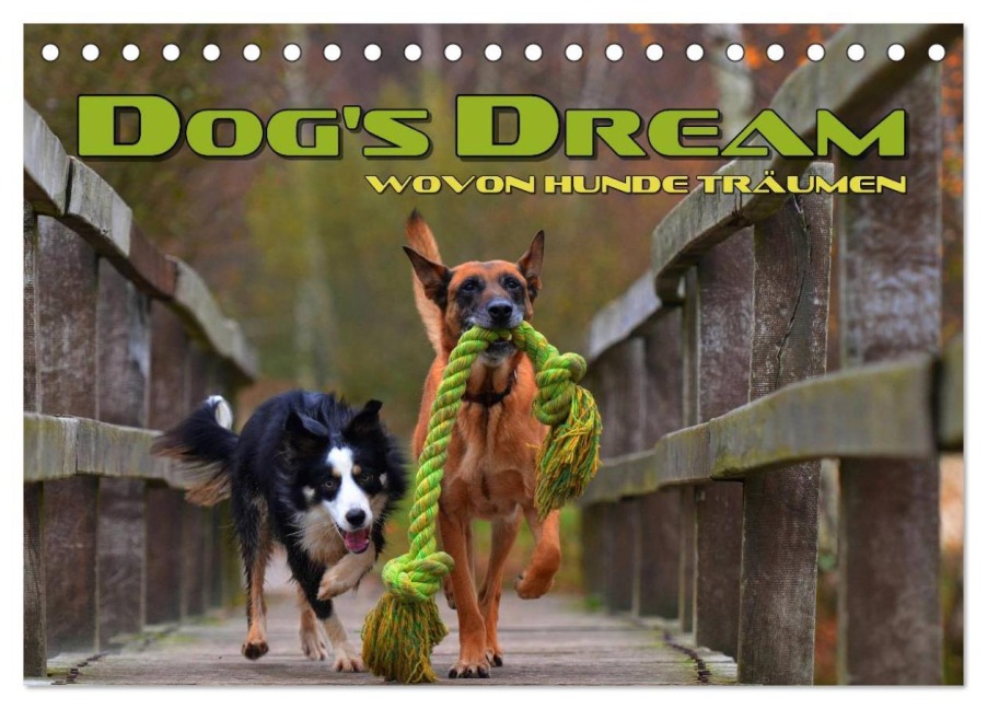 DOG'S DREAM - wovon Hunde träumen (Tischkalender 2025 DIN A5 quer), CALVENDO Monatskalender - Renate Bleicher