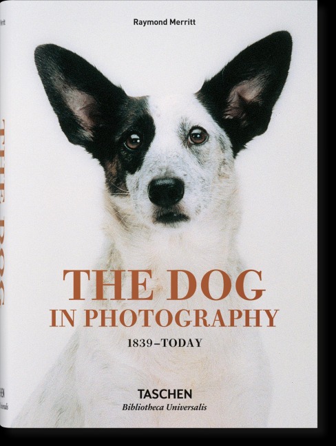 The Dog in Photography 1839-Today - Raymond Merritt
