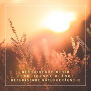 Cover-Bild zum Titel 'XXL-Bundle für tiefe Entspannung: Beruhigende Musik, Beruhigende Klänge, Beruhigende Naturgeräusche' von 'Beruhigende Klänge für tiefe Entspannung'