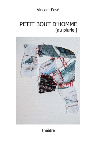PETIT BOUT D'HOMME [AU PLURIEL] - Vincent Posé