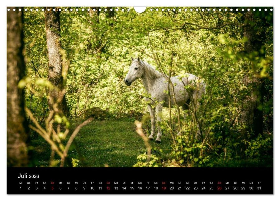InsideView 12