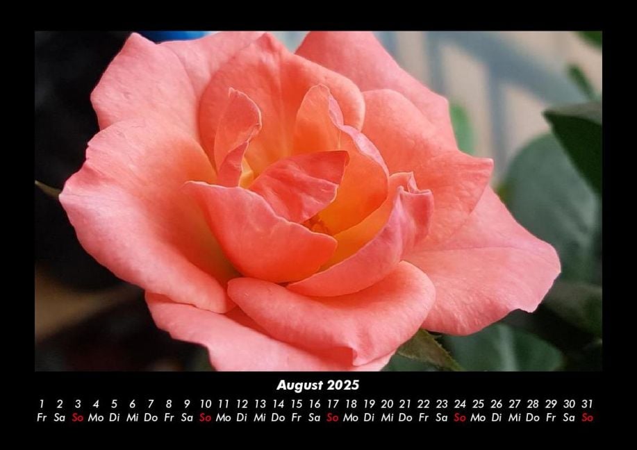 InsideView 12