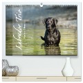 Labrador Trio - 3 Farben, 3 Freunde (hochwertiger Premium Wandkalender 2025 DIN A2 quer), Kunstdruck in Hochglanz - Cornelia Strunz