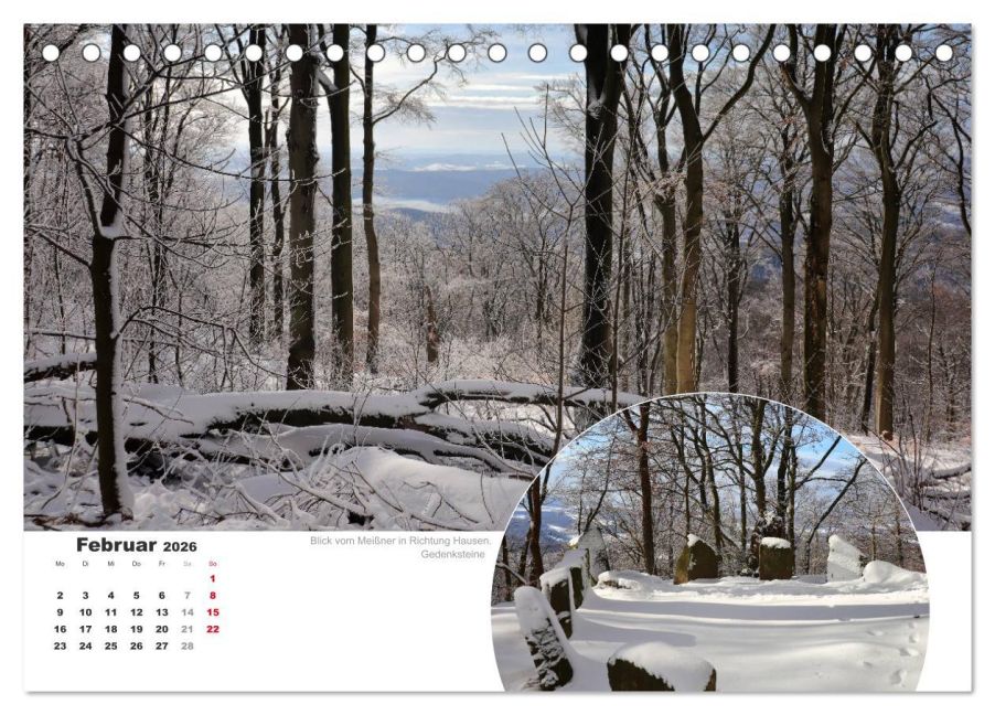 InsideView 7