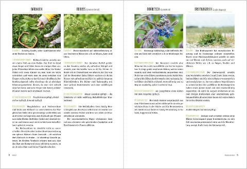 InsideView 3