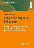 Adoleszenz, Migration, Delinquenz - Michael Tressat