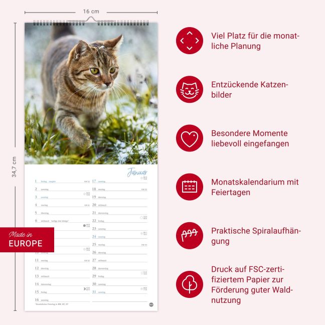 InsideView 13