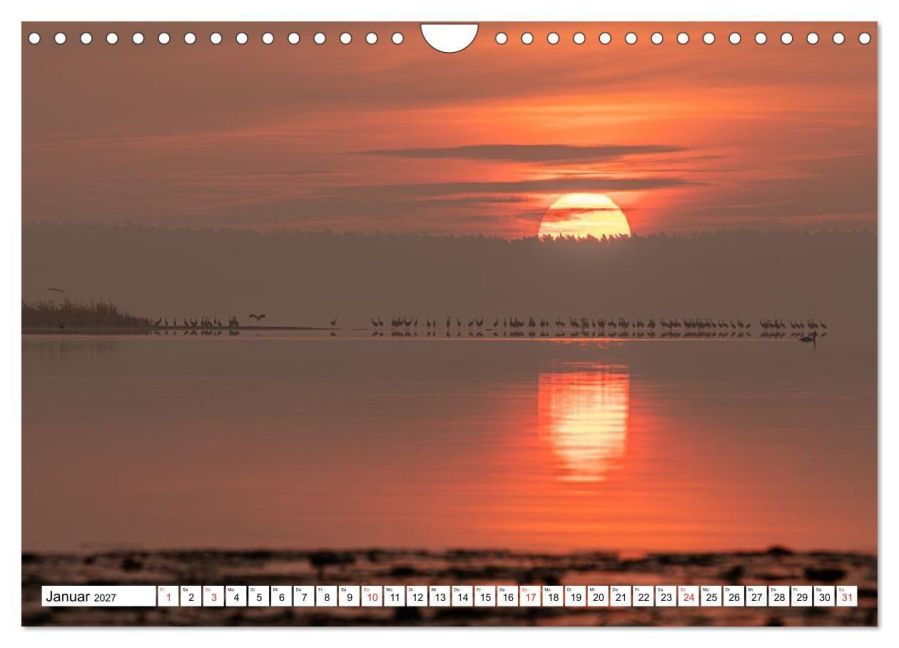 InsideView 6