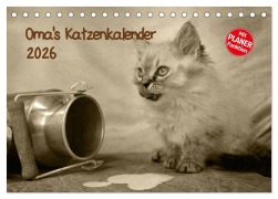 Cover-Bild zum Titel 'Oma's Katzenkalender 2026 (Tischkalender 2026 DIN A5 quer), CALVENDO Monatskalender' von 'Sylvia Säume'