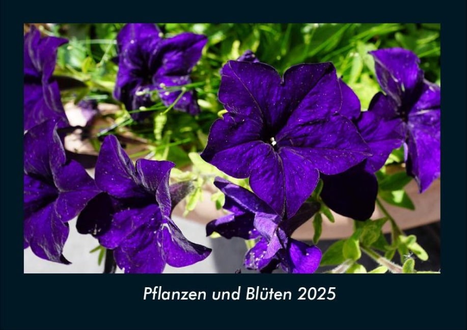 Pflanzen und Blüten 2025 Fotokalender DIN A4 - Tobias Becker