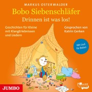 Cover-Bild zum Titel 'Bobo Siebenschläfer. Drinnen ist was los!' von 'Markus Osterwalder'