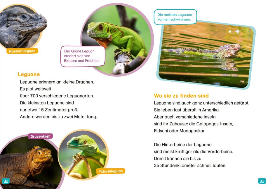 InsideView 3