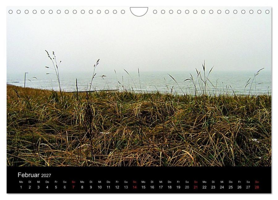 InsideView 7