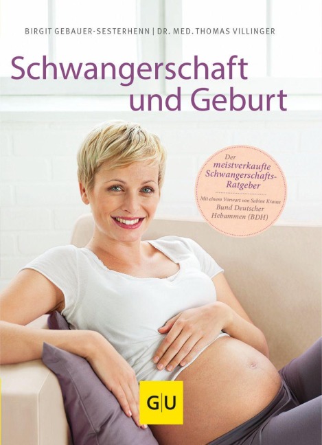 Schwangerschaft und Geburt - Thomas Villinger, Birgit Sesterhenn-Gebauer