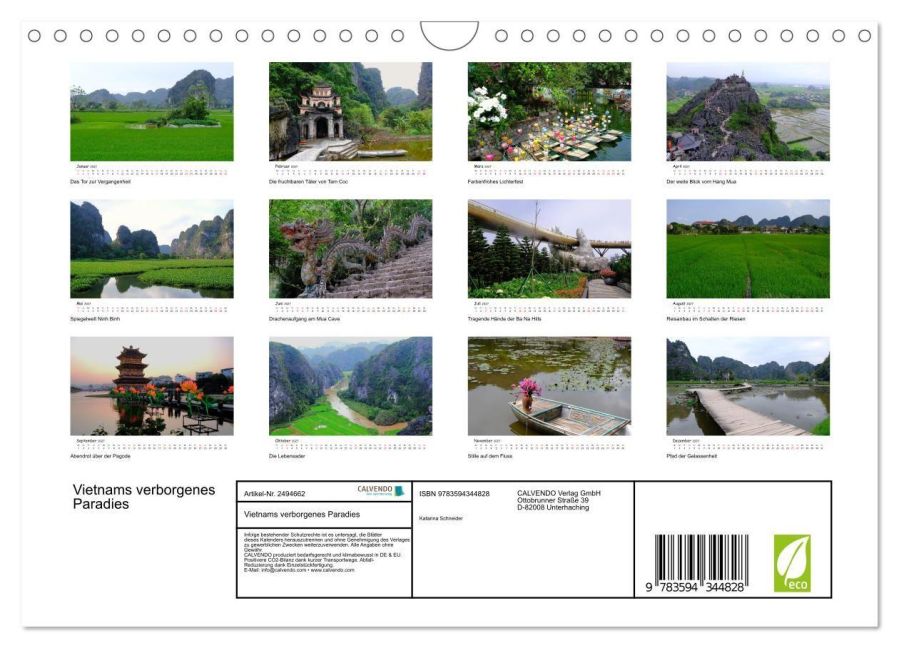 InsideView 5