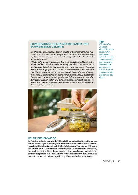 InsideView 8