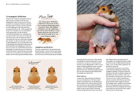 InsideView 5