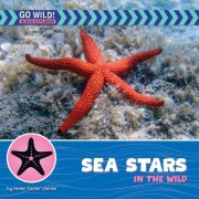 Cover-Bild zum Titel 'Sea Stars in the Wild' von 'Helen Foster James'