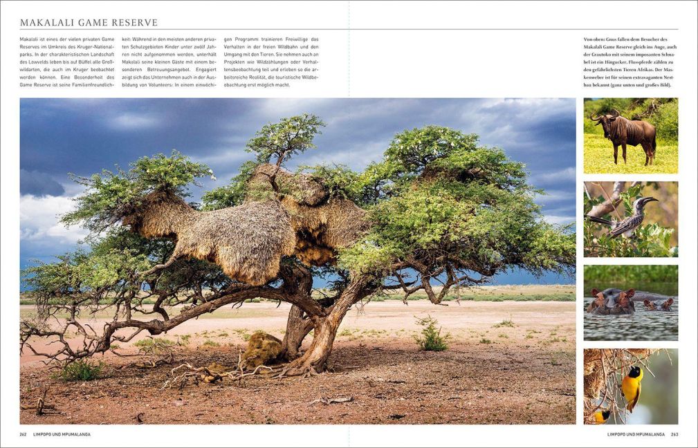 InsideView 16