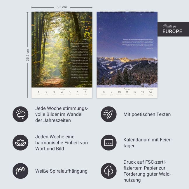 InsideView 13