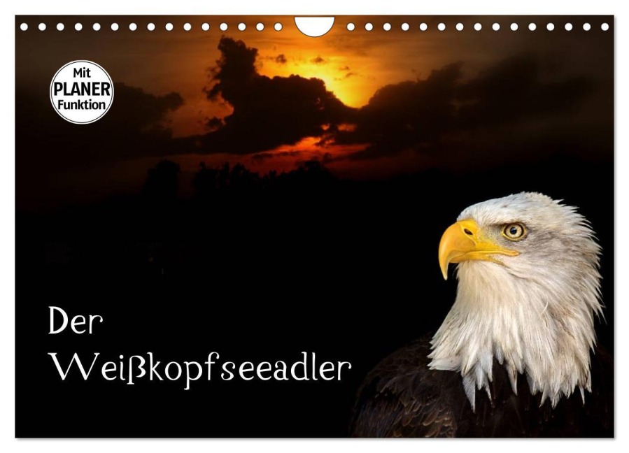 Der Weißkopfseeadler (Wandkalender 2026 DIN A4 quer), CALVENDO Monatskalender - Arno Klatt