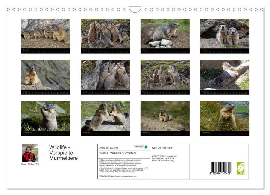 InsideView 5