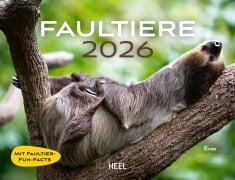 Faultiere Kalender 2026 Wandkalender - 
