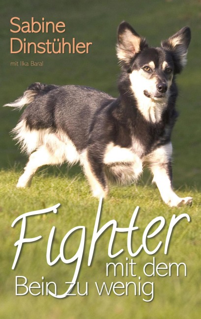 Fighter mit dem Bein zu wenig