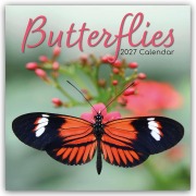 Cover-Bild zum Titel 'Butterflies - Schmetterlinge 2027 - 16-Monatskalender' von 'Gifted Stationery Co. Ltd'