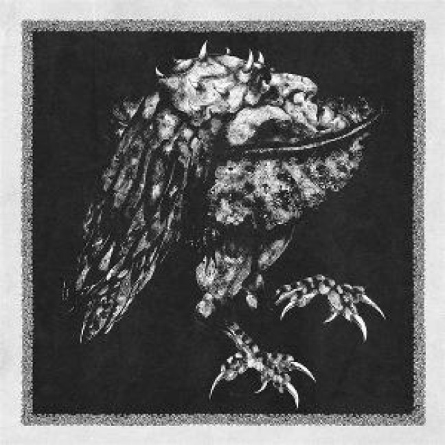 RUAá - Nekrodeus