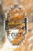 Cover-Bild zum Titel 'Zähmung des Feuers' von 'Billy Remie'